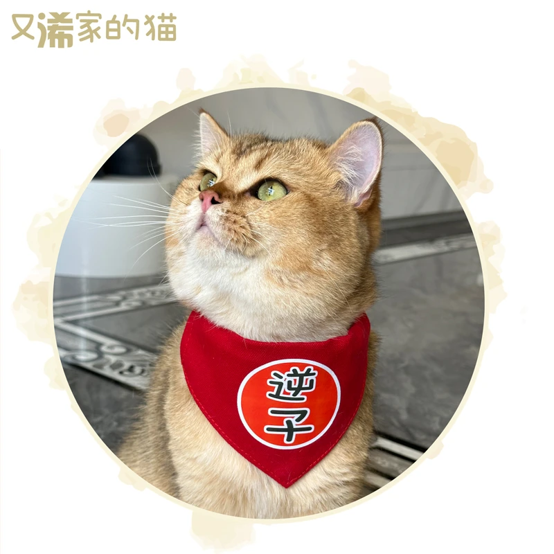 逆子定制猫咪日式口水巾三角巾围脖狗围巾大型犬金毛布偶宠物饰品