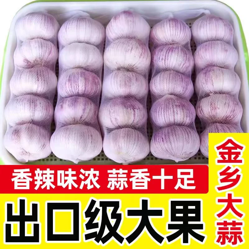 2024新干蒜批发干蒜农家新鲜大蒜头现挖鲜蒜正宗现挖鲜蒜