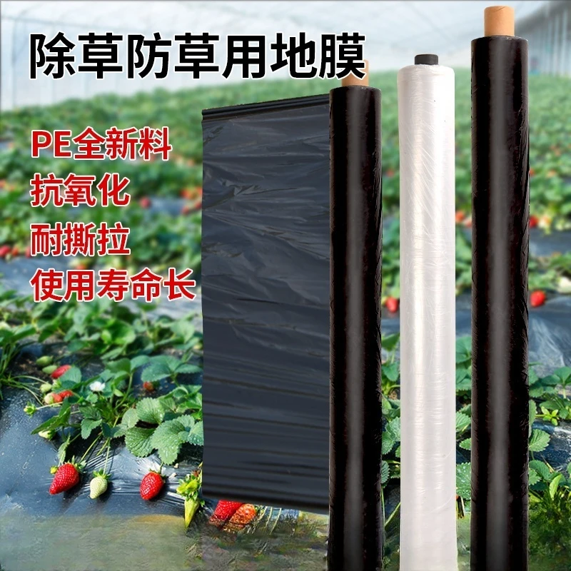 全新黑地膜防草膜除草黑色果园农用地膜蔬菜塑料薄膜加厚保温膜