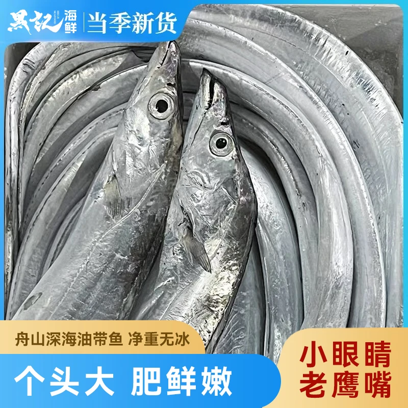 【6-8两特大】正宗舟山小眼精选油带鱼条带鲜活雷达网深海捕捞