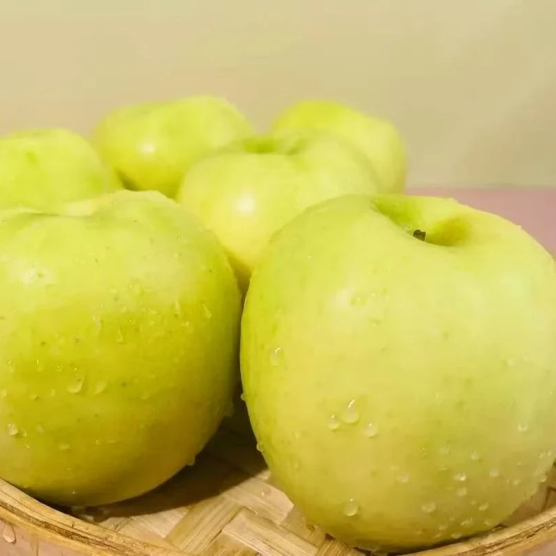 淳化高塬满口百花香味瑞雪苹果