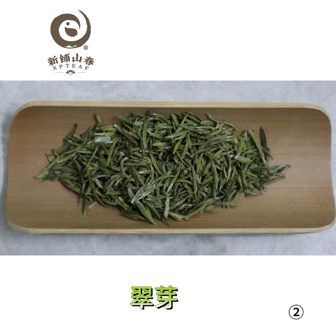 2024年新茶-新铺山春-翠芽-明前陕茶一号绿茶