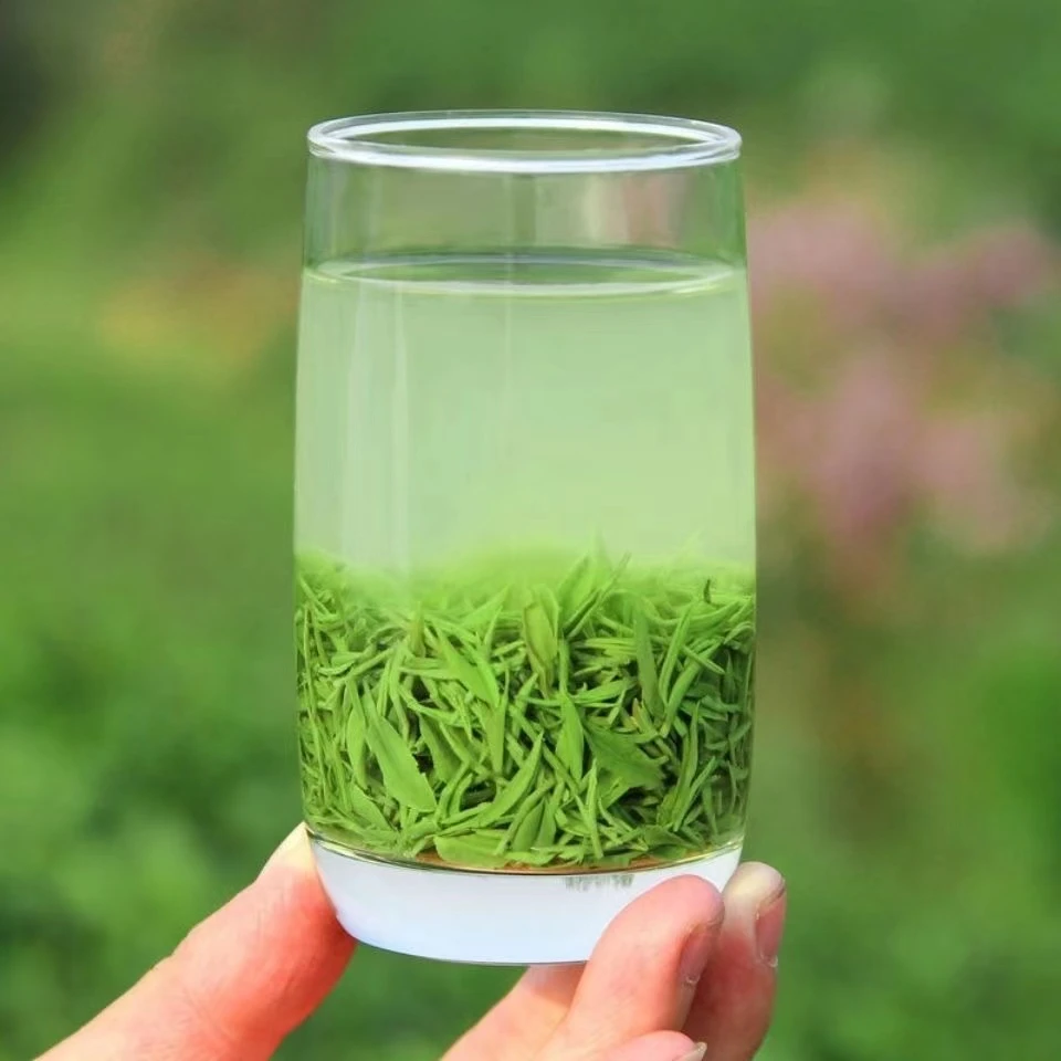 谭河2025信阳毛尖新茶谷雨前浓香芽叶耐泡茶叶口粮茶高山炒青绿茶