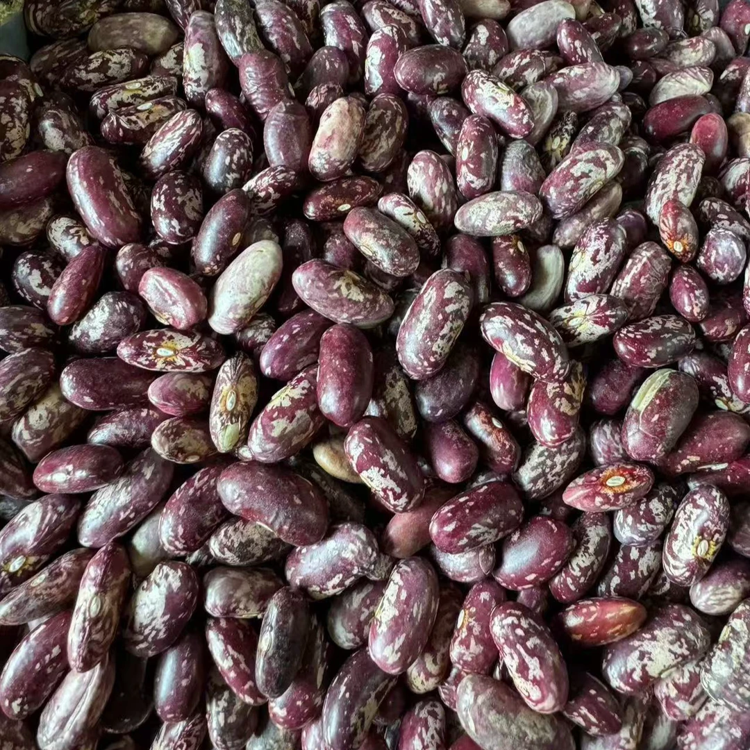 自家产花芸豆饭豆四斤