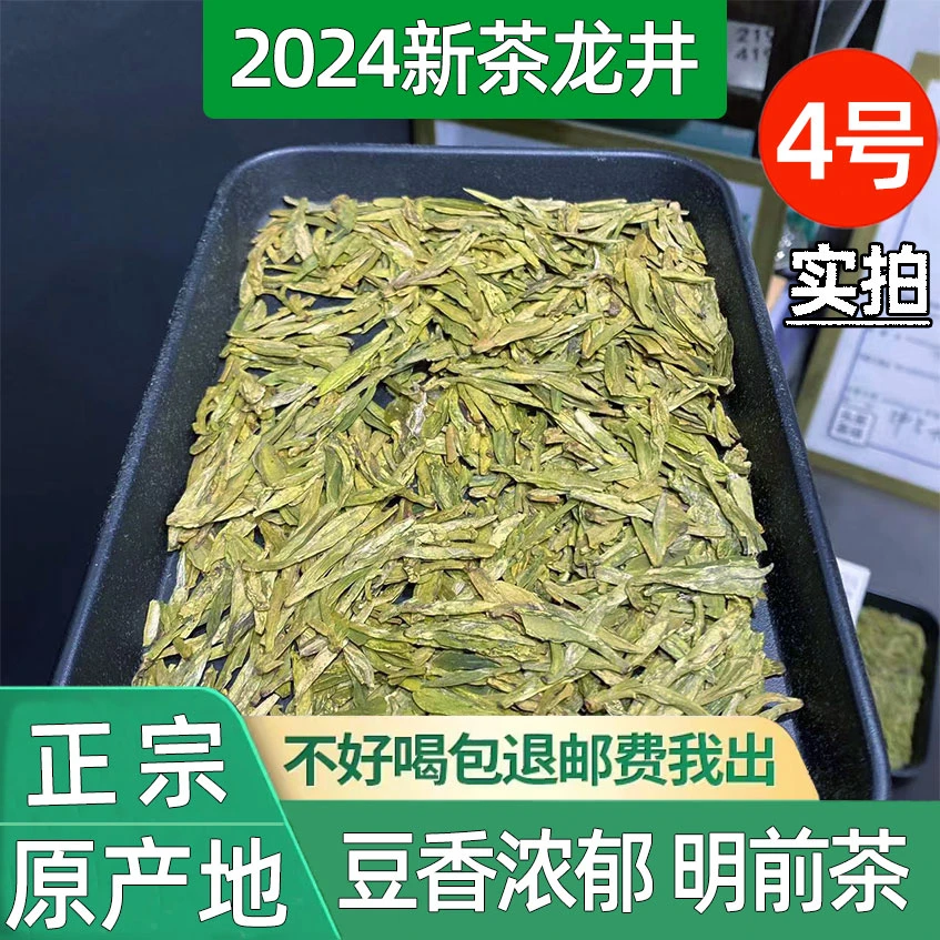 口粮款浓香龙井茶2024新茶叶高豆香明前正宗原产地绿茶茶农批发