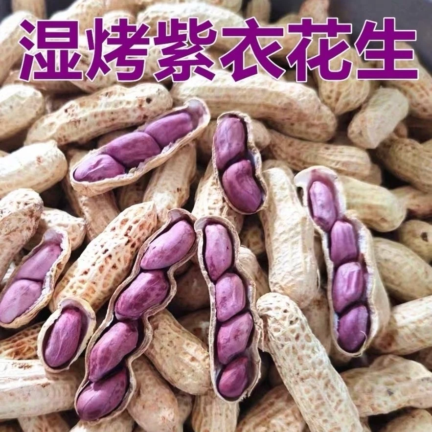 福建特产香酥龙岩花生连城湿烤花生闽西特产酥脆红衣紫衣咸香花生