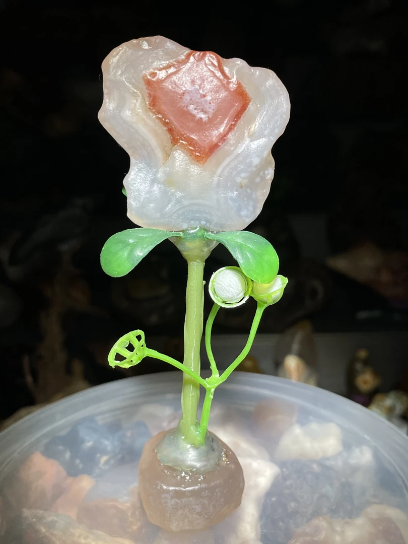 阿拉善 戈壁 原石 组合一枝花！