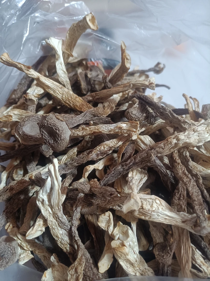 黑宝山鹿茸菇半斤/一斤装