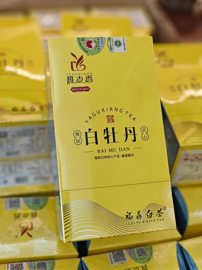 雅古香老枞生态茶清明茶口粮茶2023年新茶磻溪高山茶白茶白牡丹