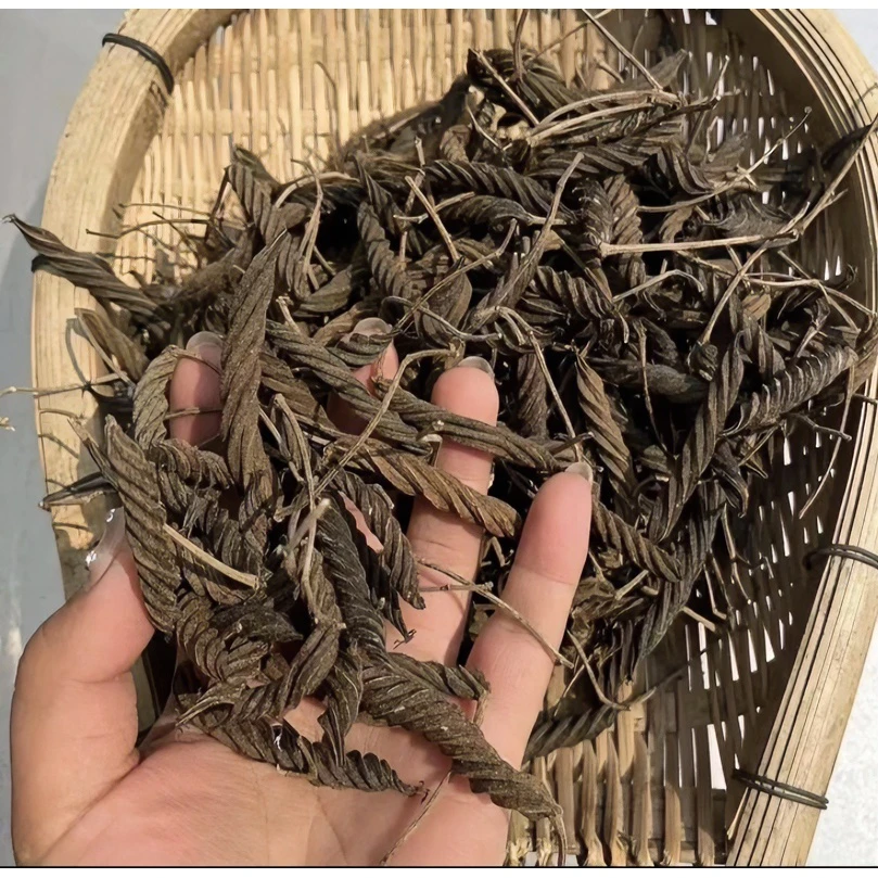 【虫草王】云南土特产农产品高山自然生长虫草王煮水枸杞泡水