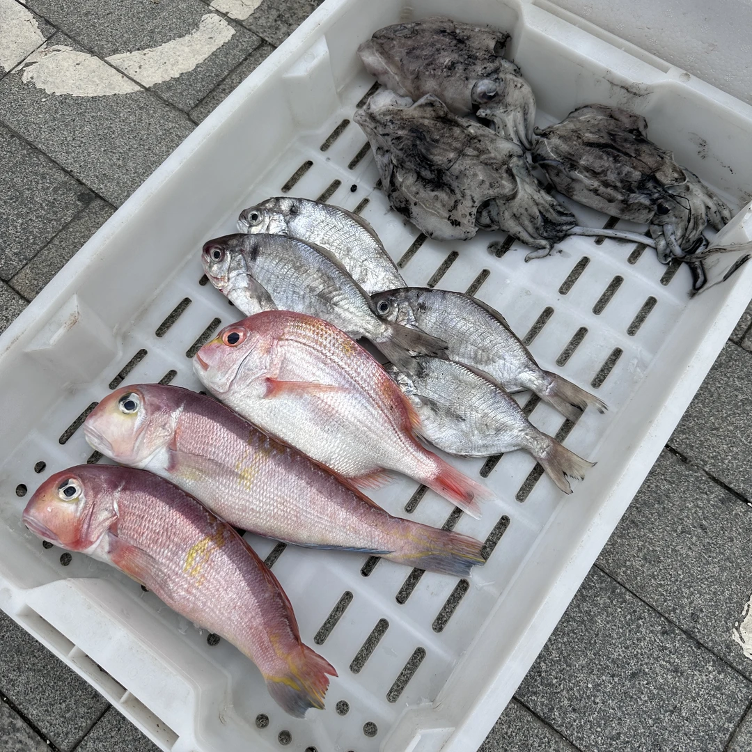 新鲜流网捕捞深海杂鱼套餐，以直播间称重为准