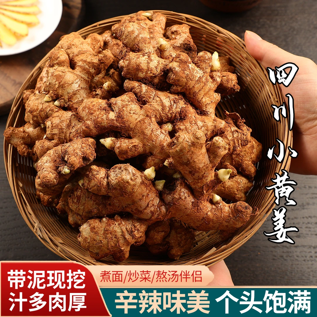 四川小黄姜500g 新鲜生姜带泥 鲜辣老姜 姜汁多肉厚 现挖土姜