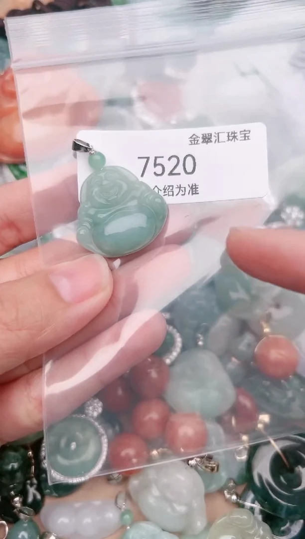 【闪购商品】翡翠颈饰未镶嵌7520....1