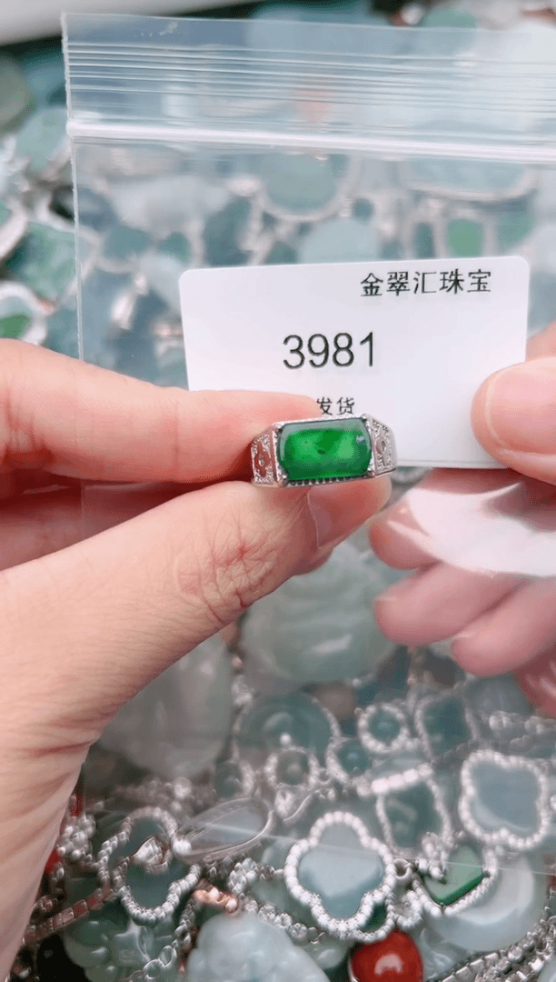 【闪购商品】翡翠颈饰未镶嵌3981......
