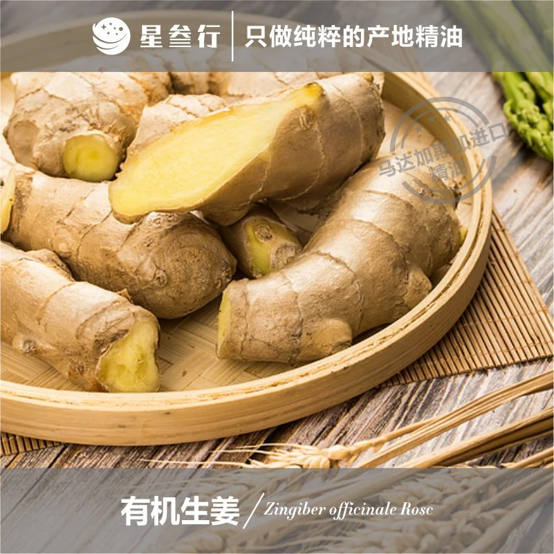 5ml小样生姜精油马达加斯加产地 植物单方精油