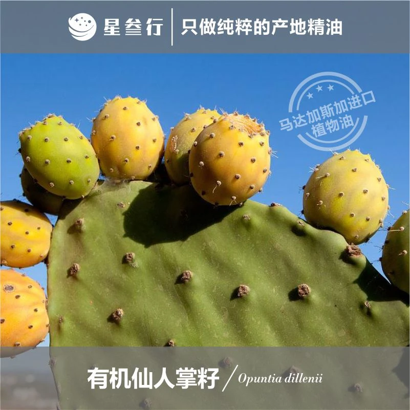 仙人掌籽油 （福利品） 马达加斯加产地有机冷压初榨