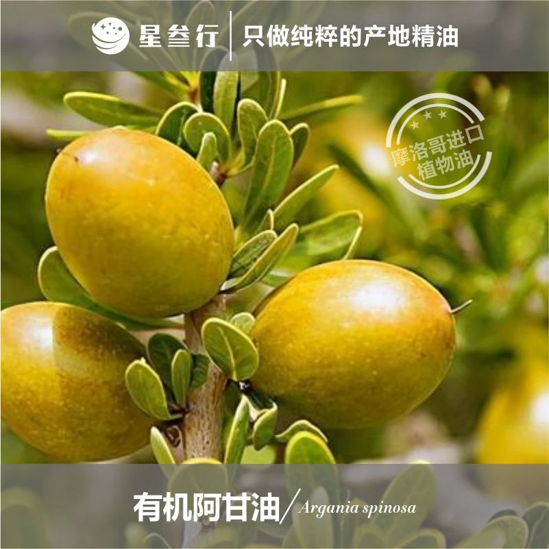 有机阿甘油植物油 摩洛哥产地 植物基础油基底油