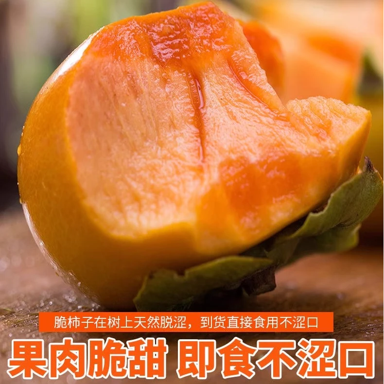 众开颜阳丰水果柿子树苗不用脱色南方北方庭院盆栽地种