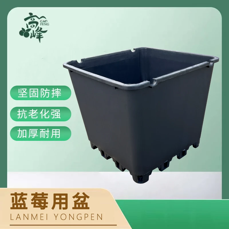 【高峰蓝莓】优质蓝莓基质盆