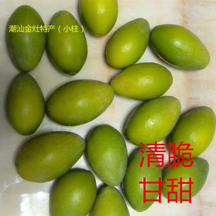 潮汕本地橄榄 酥脆回甘回甜无渣  生吃煲汤泡酒孕妇 一斤袋装