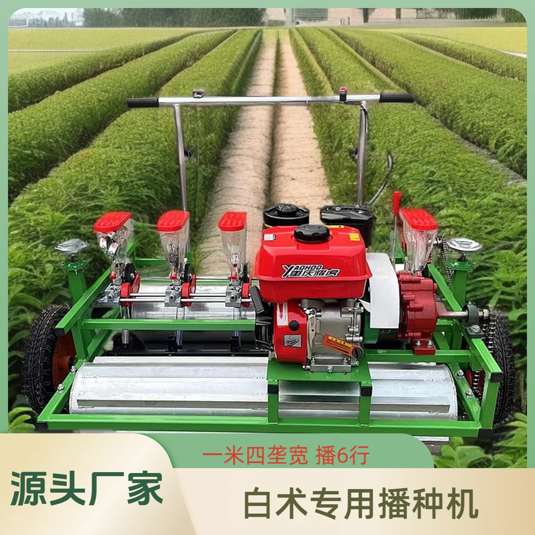 汽油药材播种机一米四垄6行白术播种机白术专用播种楼生产厂家