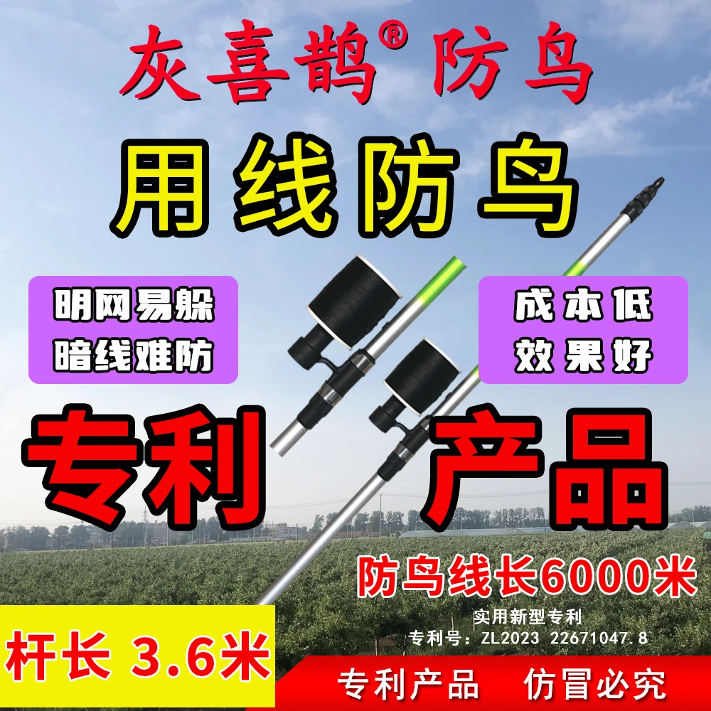 灰喜鹊灰喜鹊一根线防鸟防鸟线拉线驱鸟神器果园防鸟农田赶鸟养殖