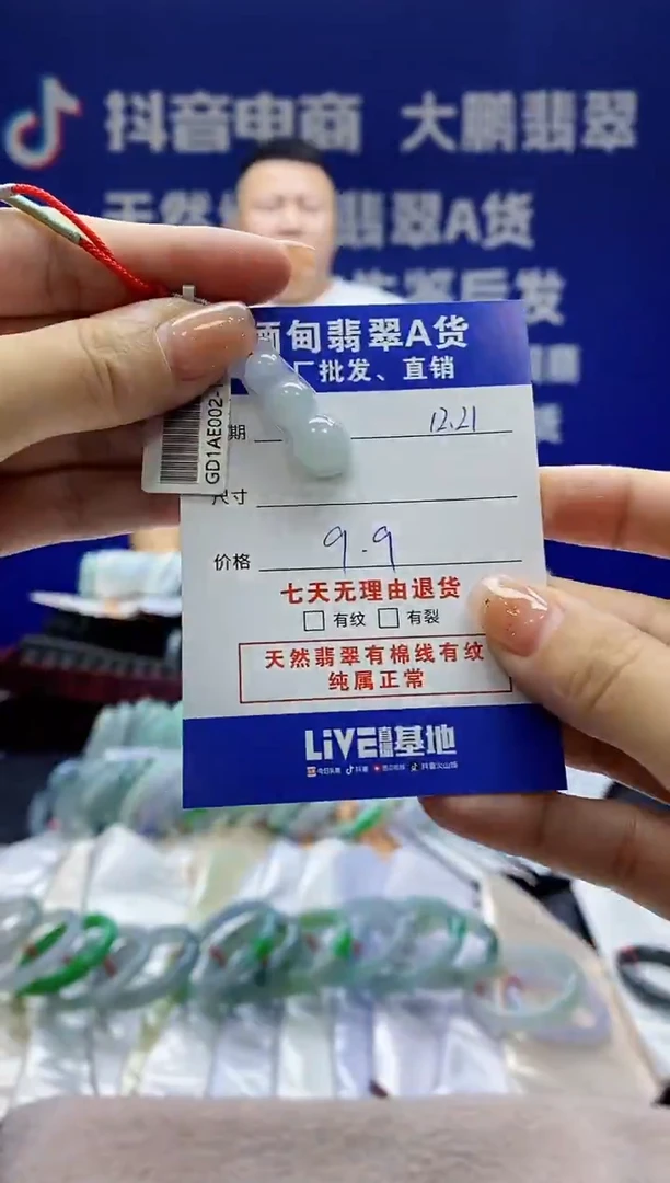 【闪购商品】翡翠颈饰未镶嵌多样性发其一