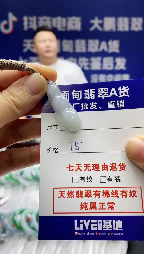 【闪购商品】翡翠颈饰未镶嵌小豆子 多样性发其一