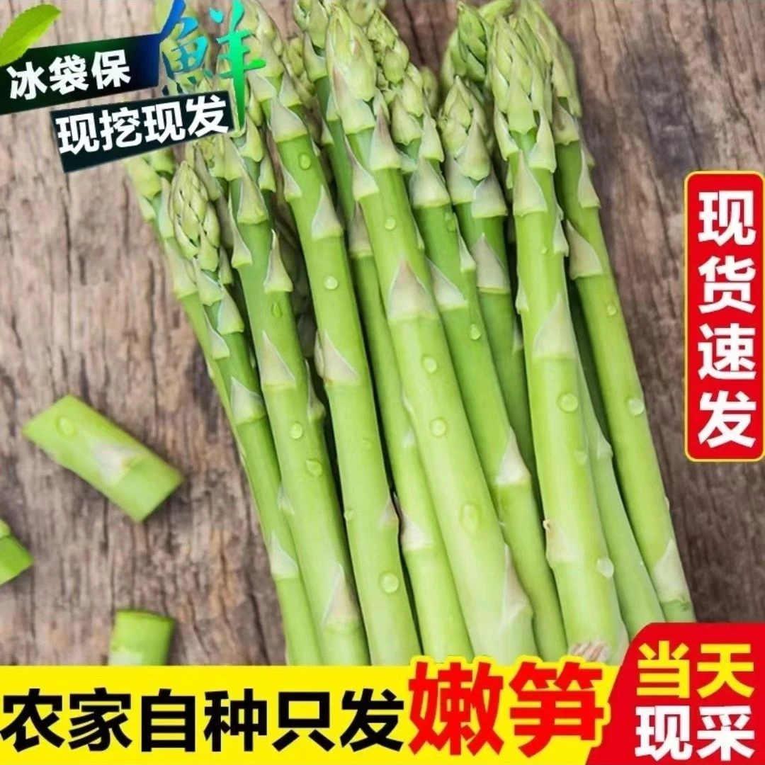 苏北东台头茬新鲜绿芦笋现采现发新鲜直达