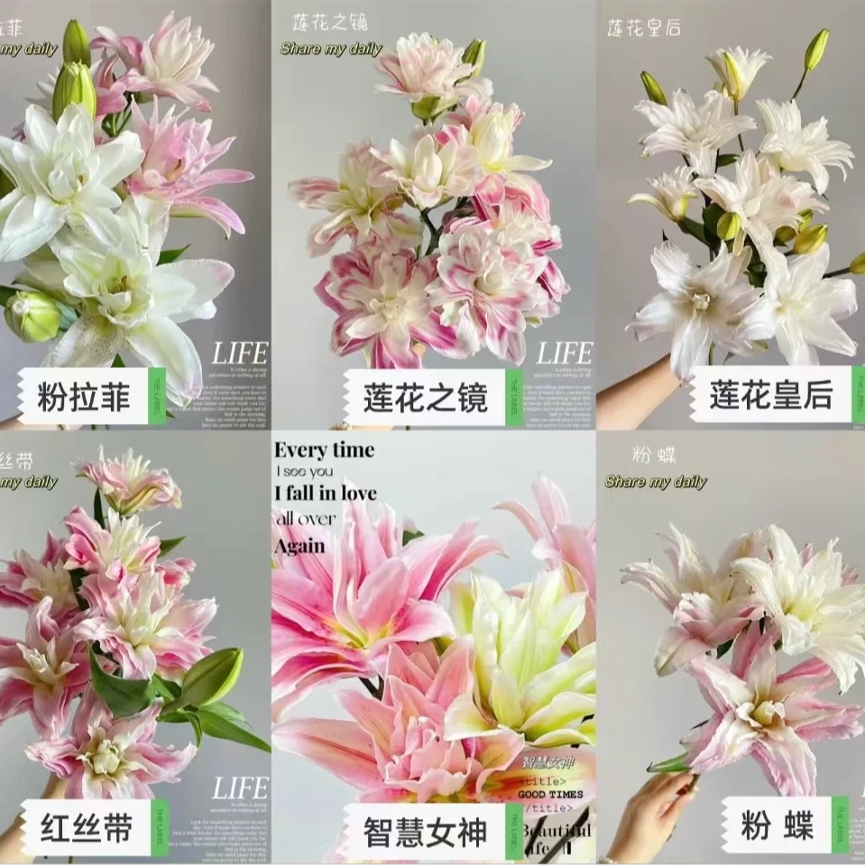 （1）百合香水百合基地直发芳香四溢美丽送礼浓香型客厅香气