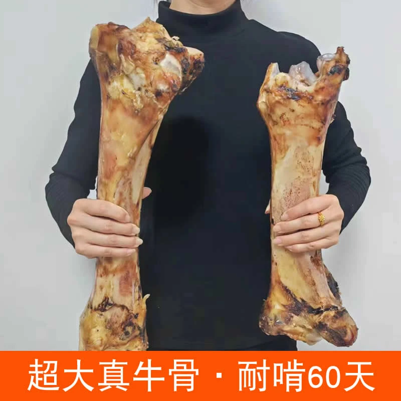 尾爸狗狗磨牙牛大骨牛腿骨中大型犬耐啃磨牙超大牛骨头厂家直销