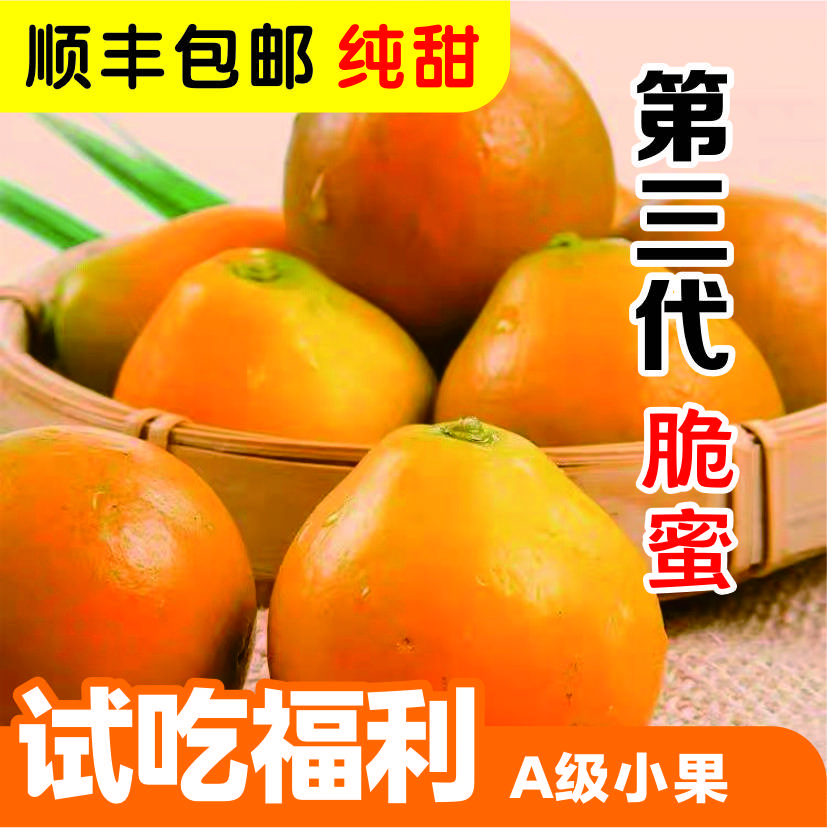 【脆蜜2斤试吃】广西融安金桔第三代爆甜多汁现摘现发新鲜整箱包邮