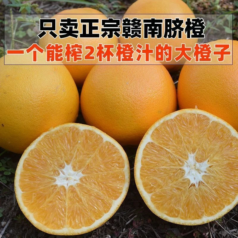 【带枝带叶】正宗赣南脐橙新鲜赣州橙子江西甜橙水果批发包邮