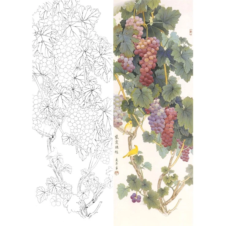 工笔画白描底稿竖幅葡萄王庆升实物打印稿50*138含彩图L593