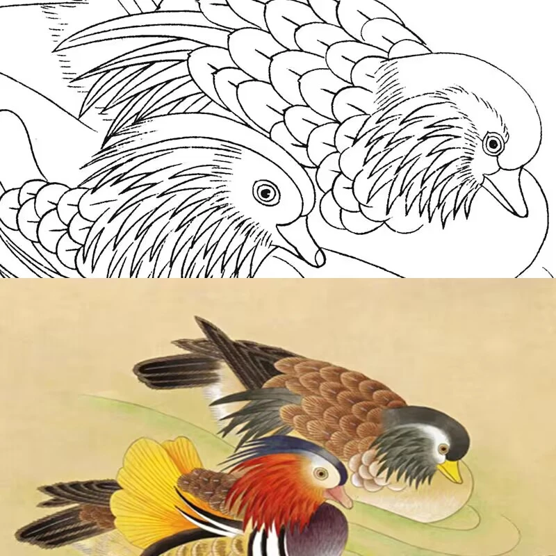 有步骤有说明工笔画打印底稿初学者白描稿鸳鸯图工笔白描底稿533