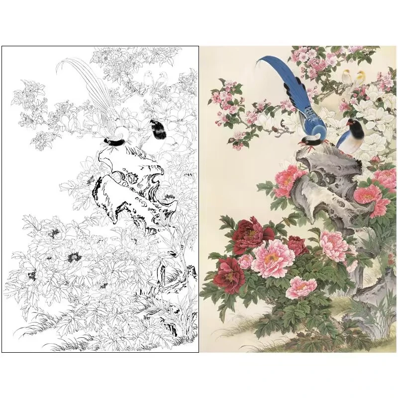 高清工笔画白描国画牡丹玉兰各种尺寸初学者临摹练习线描底稿60X