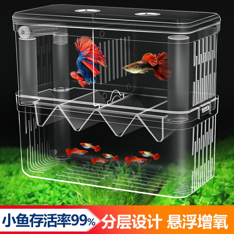 鱼缸隔离盒孔雀鱼孵化盒热带鱼小鱼幼鱼孵化盒特大号大号小号独立