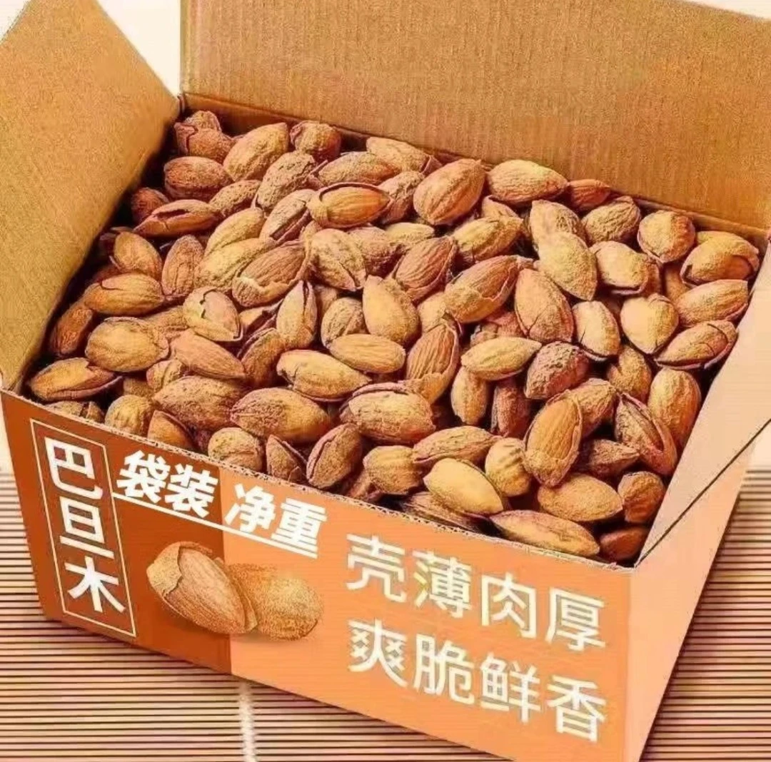 【整箱2斤】薄壳巴旦木坚果干果炒货罐装大颗粒杏仁休闲零食大礼包