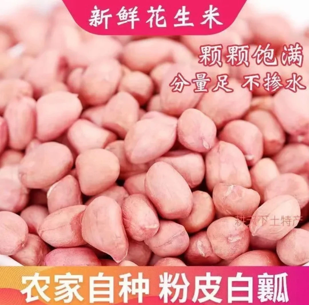 【降价啦】23现剥新花生米新货粉皮新鲜大颗粒榨油白沙花生整箱包邮