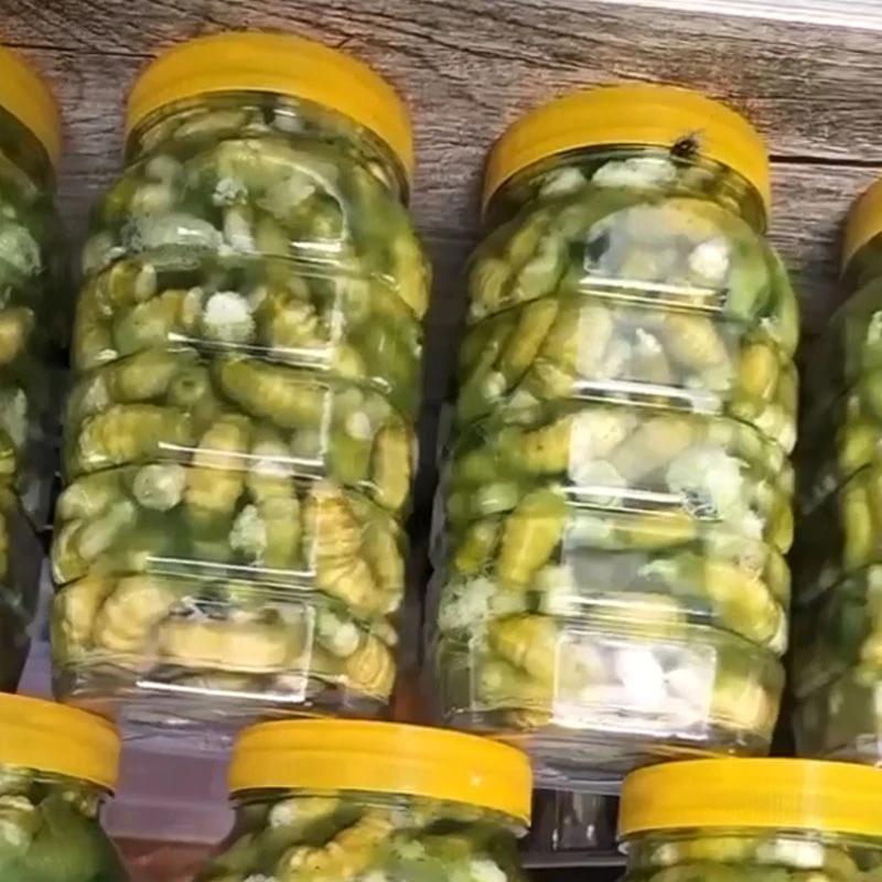 灌云豆丹苏北连云港特产新鲜现擀豆丹虫冷链运输