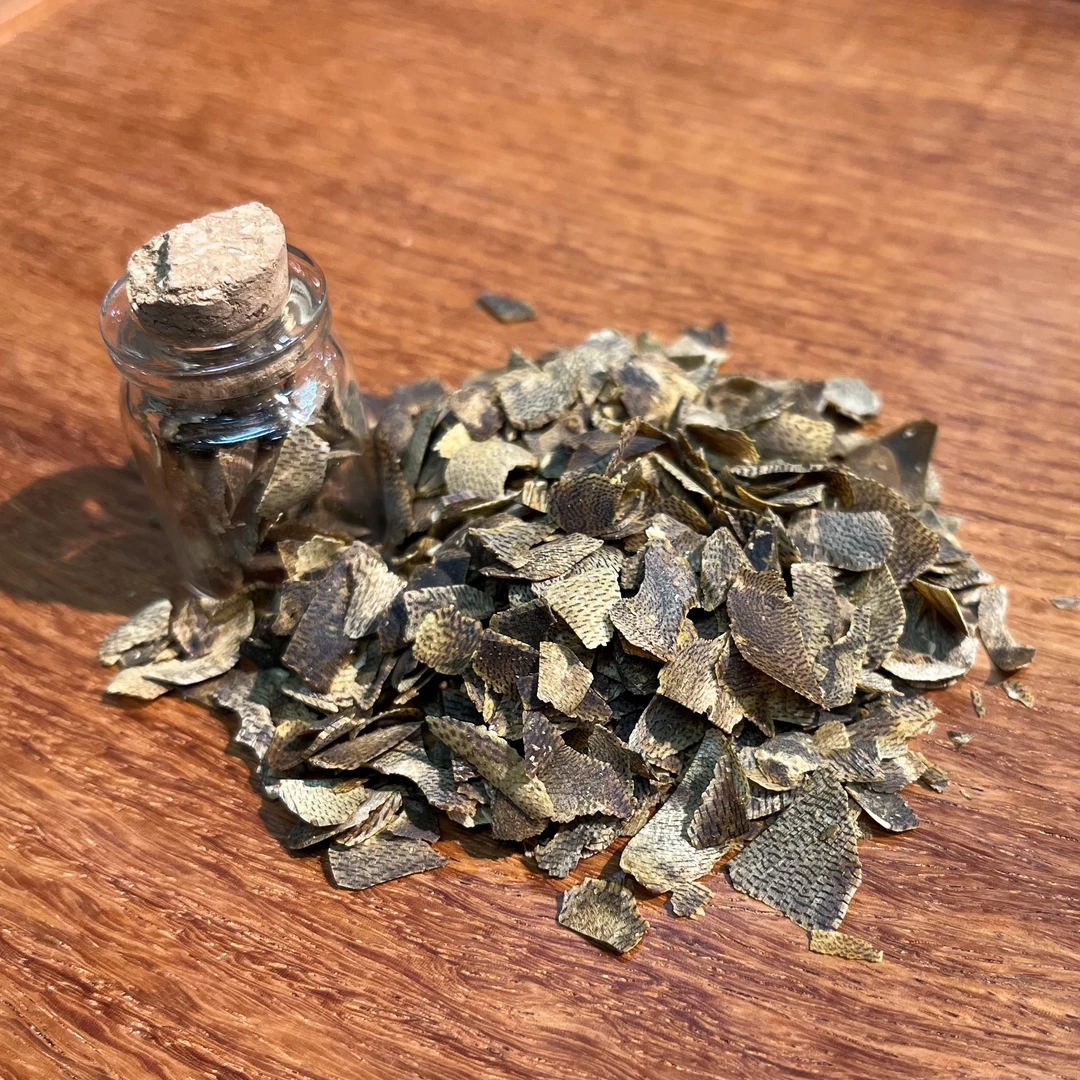 沉香99分沉切片海南莺歌绿棋棋楠沉香文创体验装1G