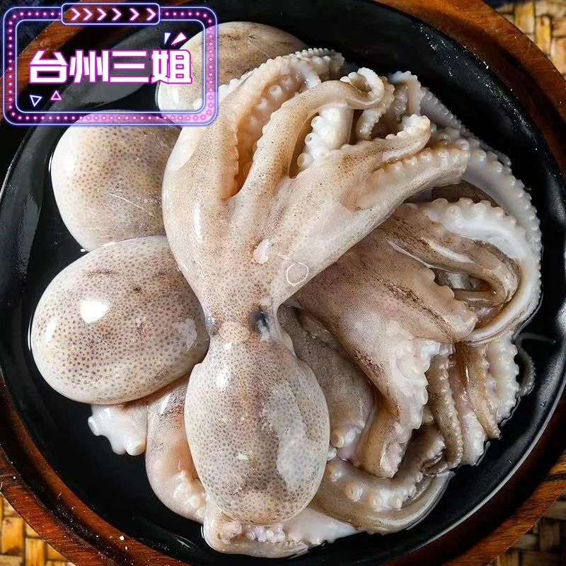 《台州三姐》东海本地八爪鱼海鲜小章鱼爆头（规格重量以直播间为准）