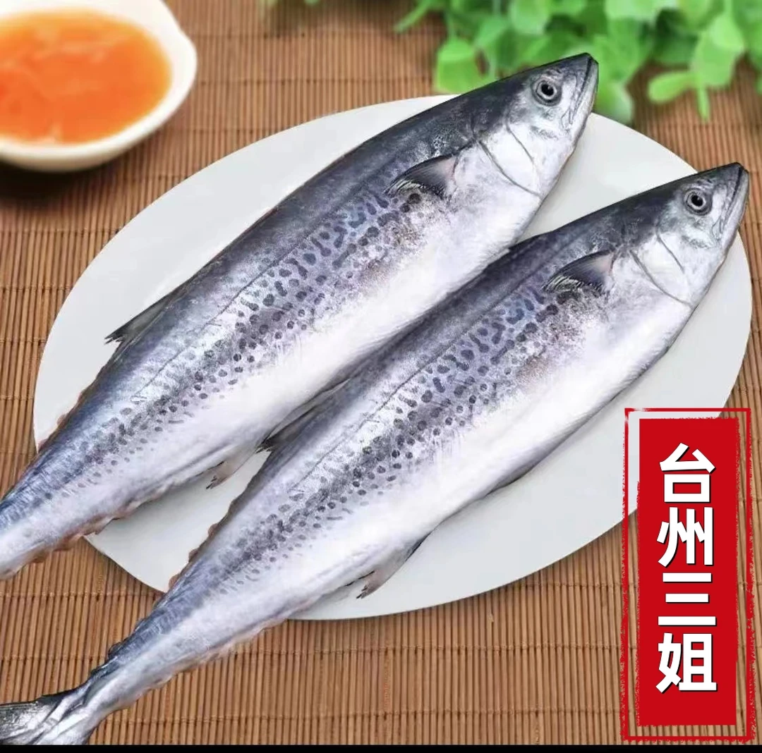 <年终大促>东海野生马鲛鱼海鲜