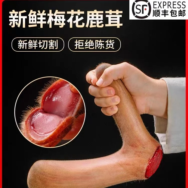东北特产  梅花鹿之乡   鲜鹿茸