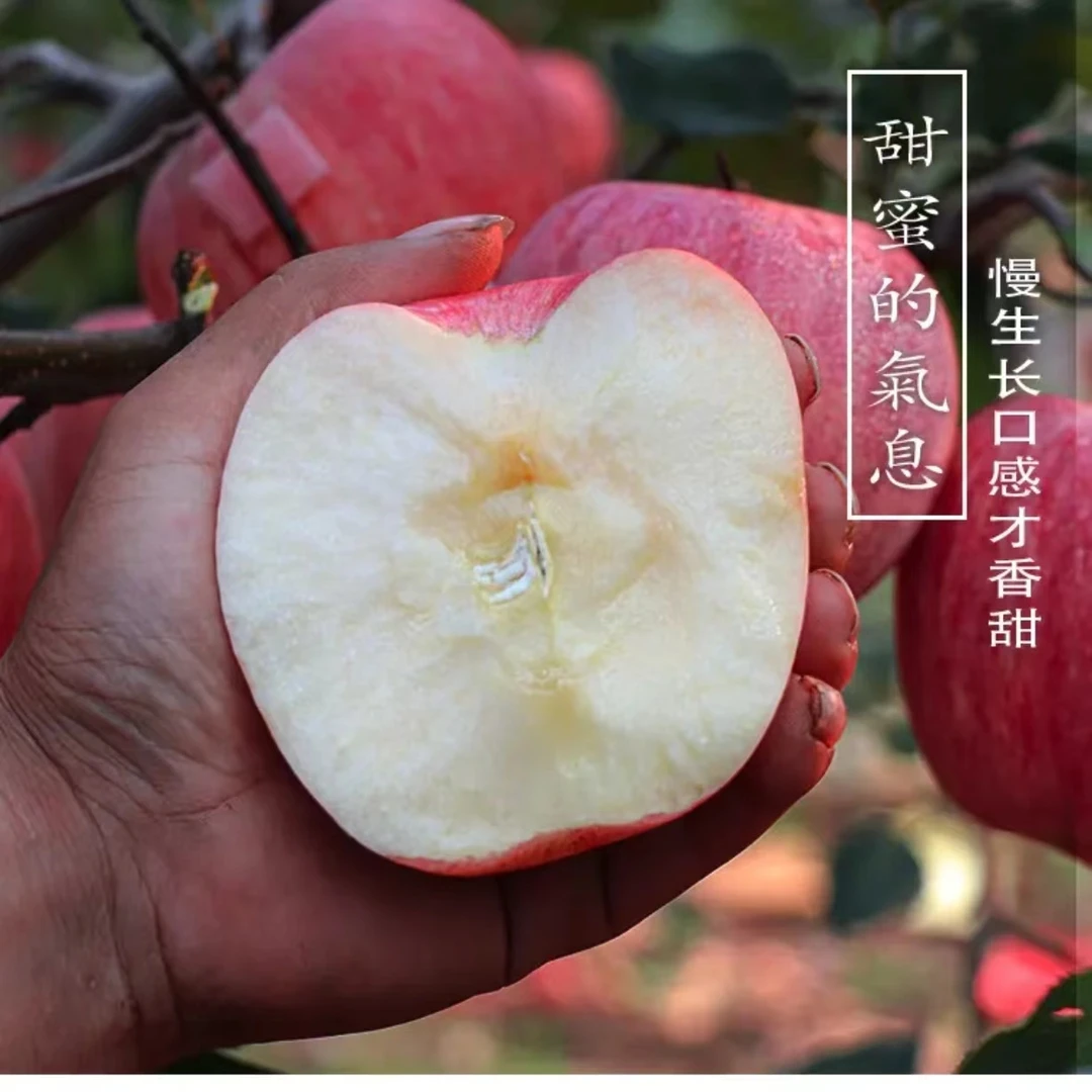 红富士1000g苹果