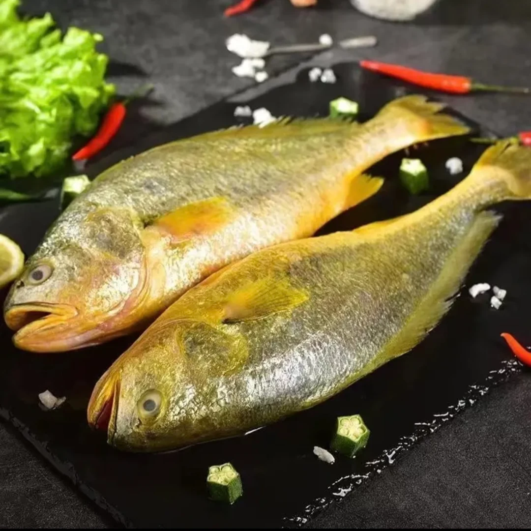 【大苗】大黄花鱼0.9斤/条 5条装 新鲜活鱼速冻冷冻无冰鲜海鱼批发