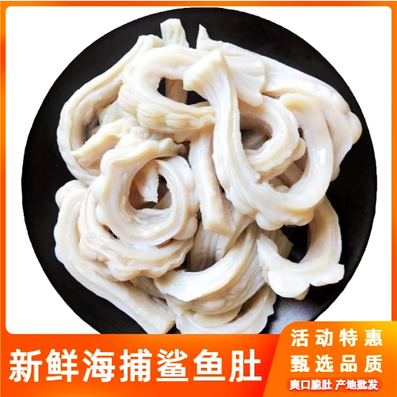 新鲜爽口脆肚鲨鱼肚鲜鱼胶鲨鱼肠营养优质冷冻方便美味饱满含量