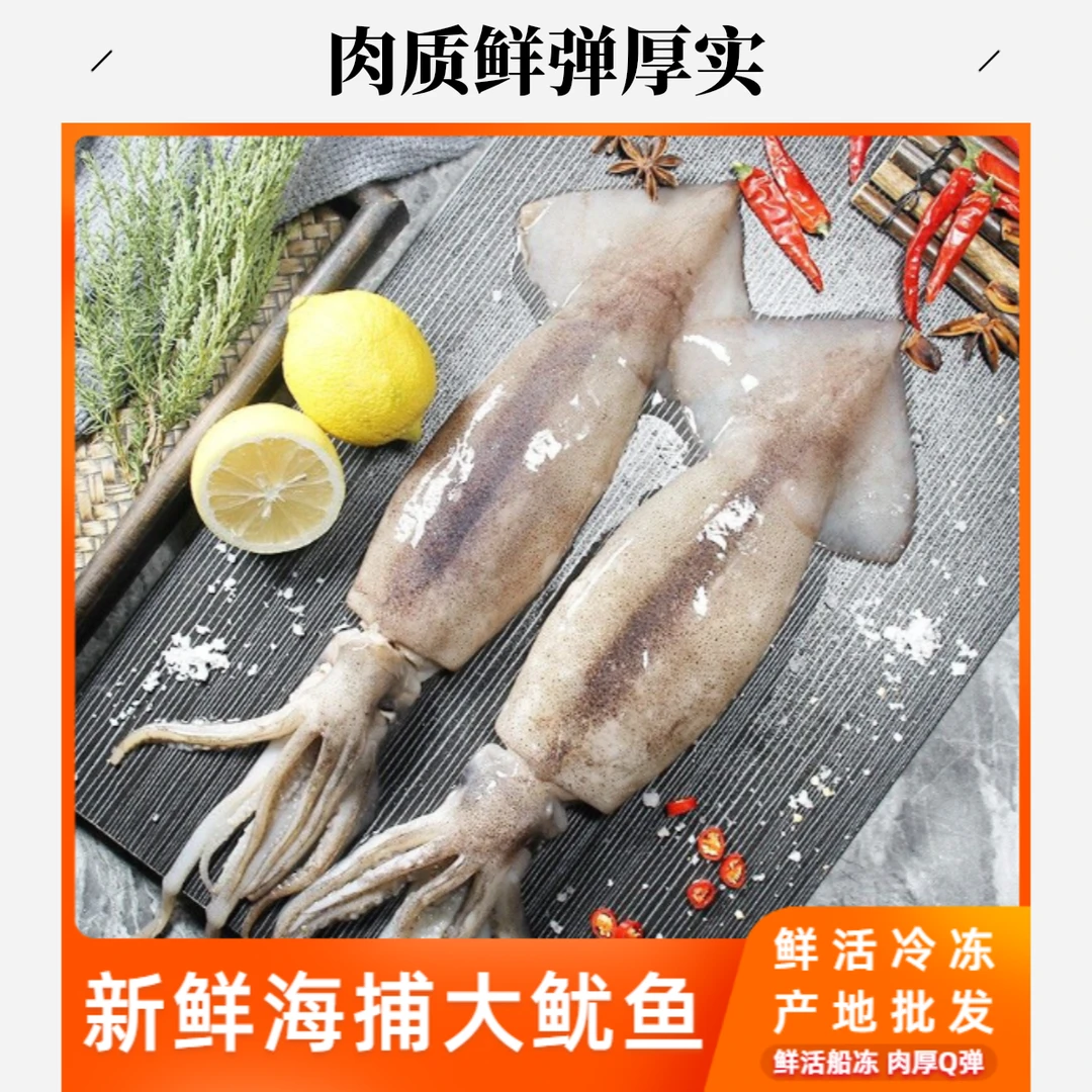 新鲜鱿鱼鲜活冷冻大鱿鱼鱿鱼筒鱿鱼须笔管魷鱼大个甄选好吃发货