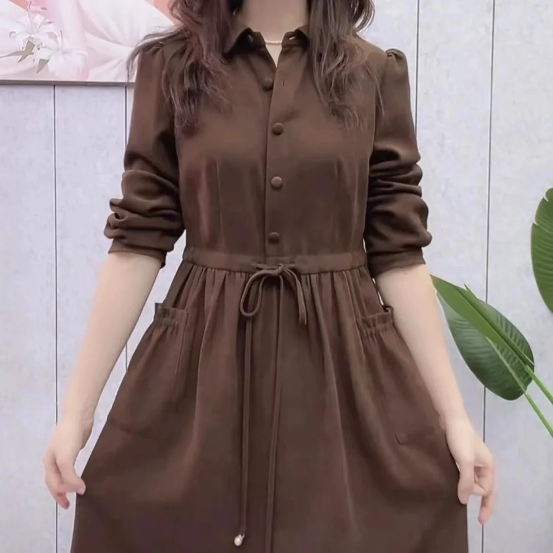 磨毛精纺连衣裙时尚优雅2024新款女装秋高档长袖遮肚子礼服裙子女