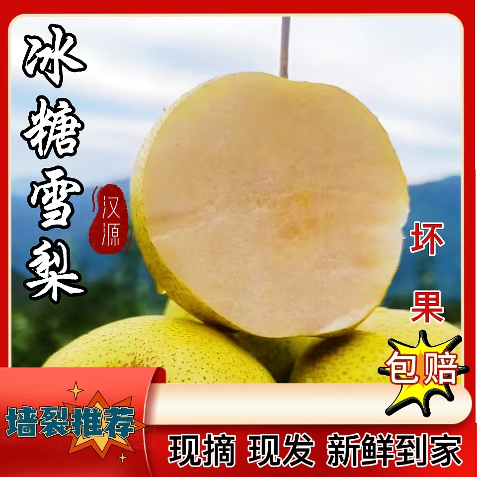 汉源高山冰糖雪梨清甜多汁